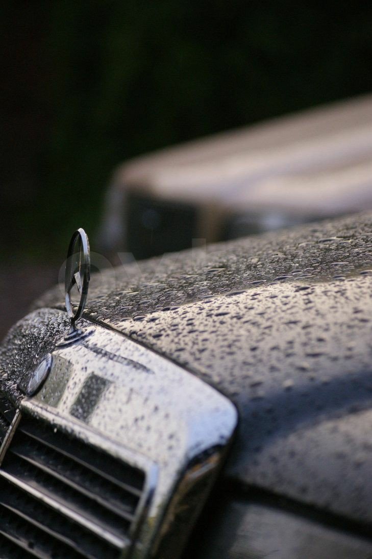 Mercedes-Benz E-Класс W124, S124, C124, A124, 1989 г.
