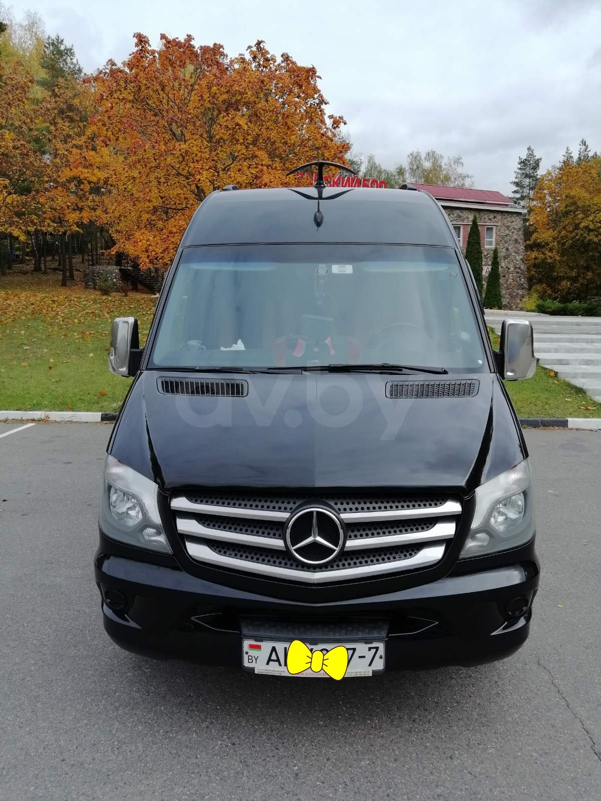 Mercedes-Benz Sprinter 519, 2009 г.