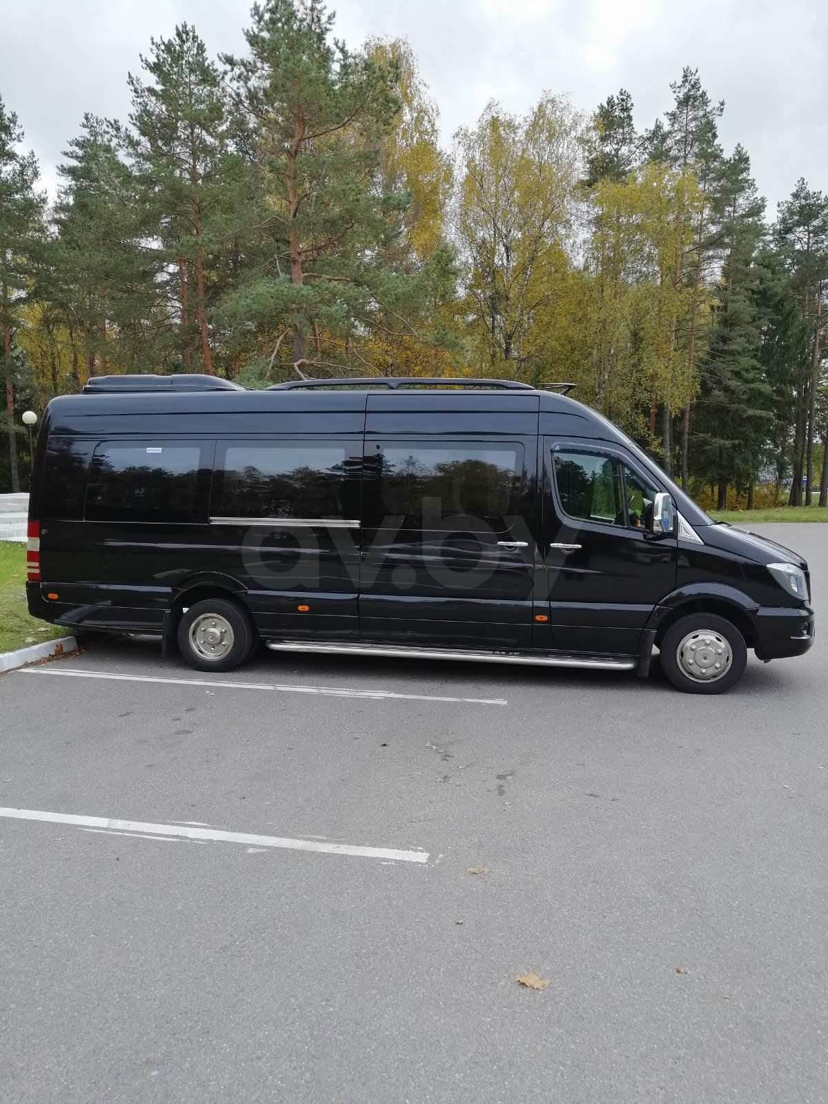 Mercedes-Benz Sprinter 519, 2009 г.