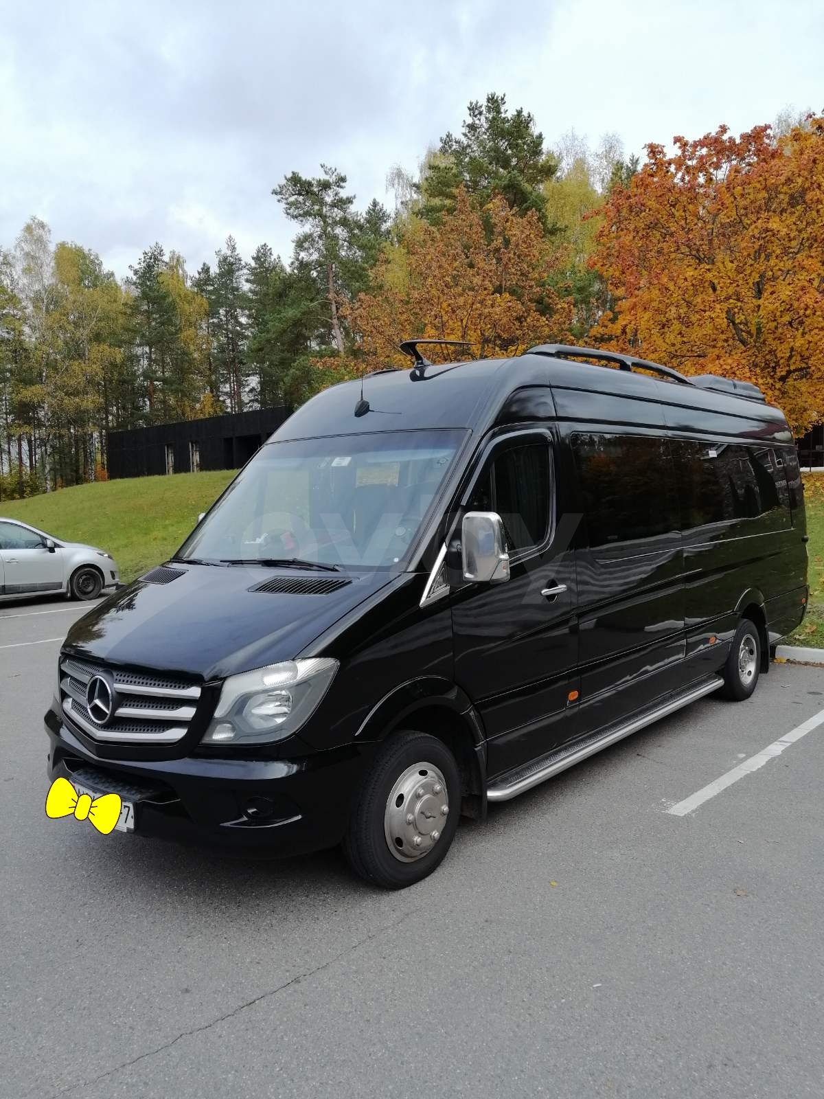 Mercedes-Benz Sprinter 519, 2009 г.