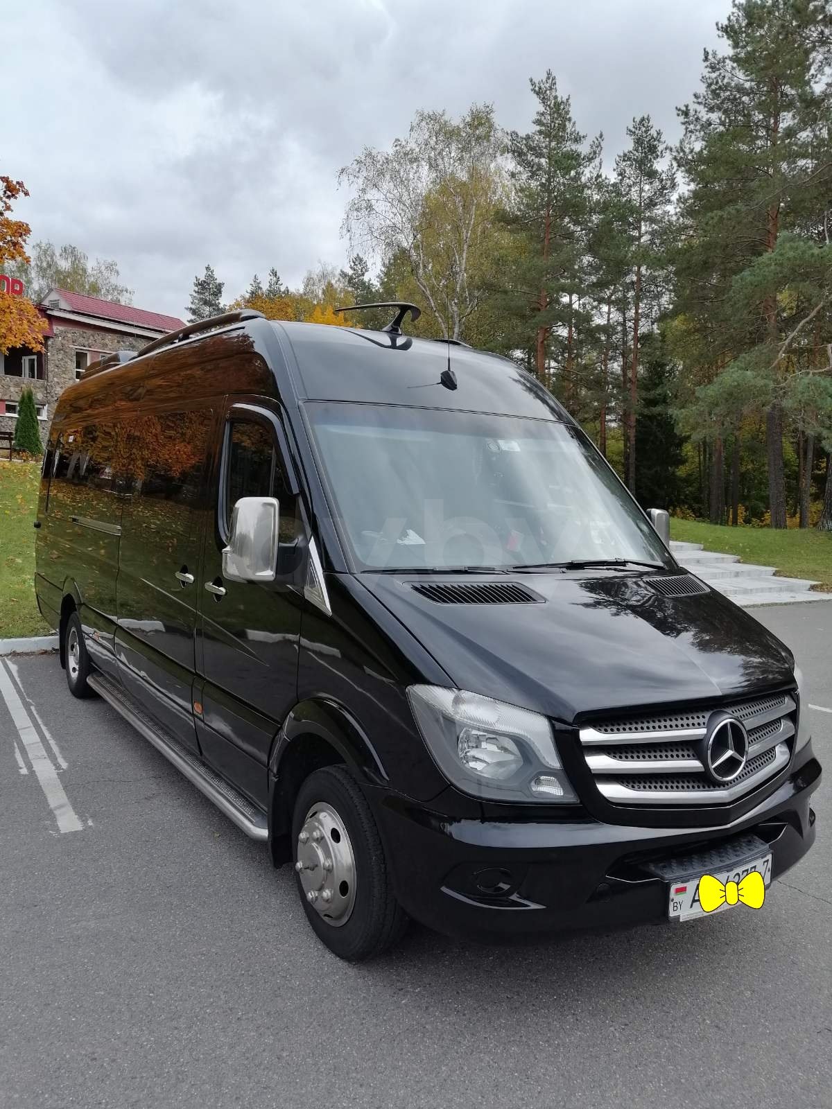 Mercedes-Benz Sprinter 519, 2009 г.