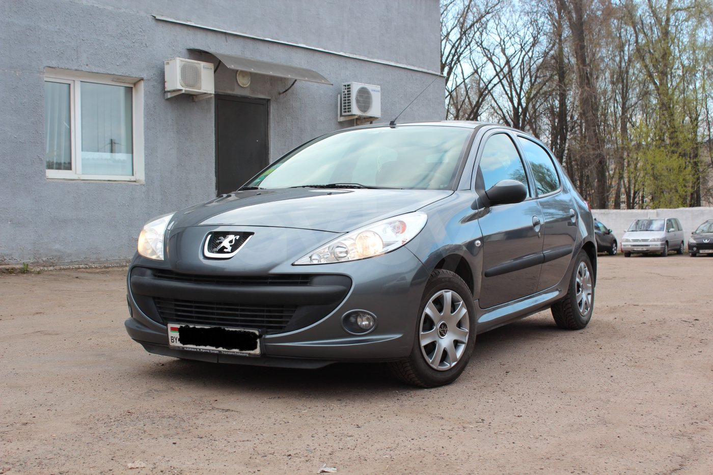 Peugeot 206 Plus, 2010 г.