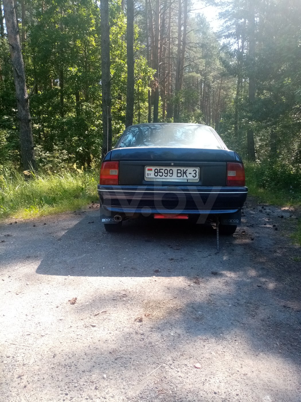 Opel Vectra A, 1991 г.