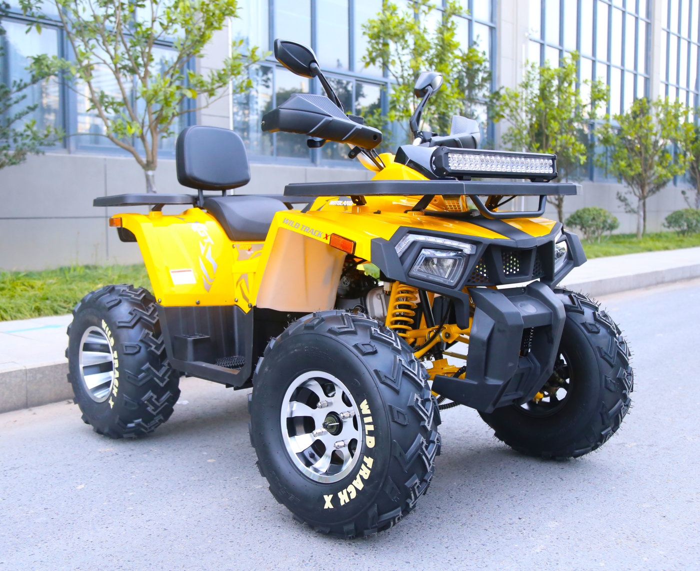Motoland Wild Track X PRO, 2023 г.