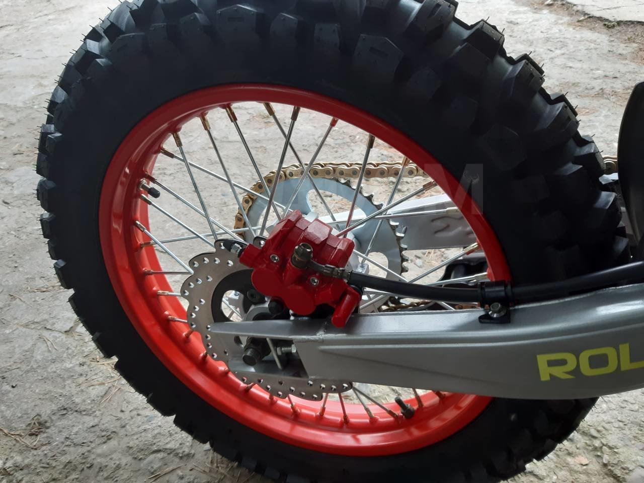Ekonika Roliz Sport 008, 2020 г.