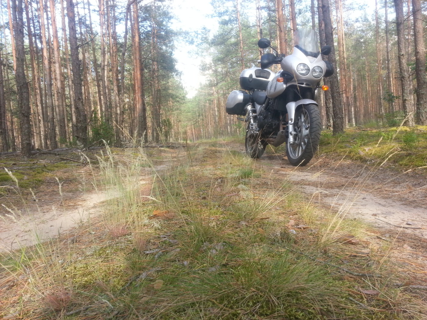 Triumph Tiger 955i, 2004 г.