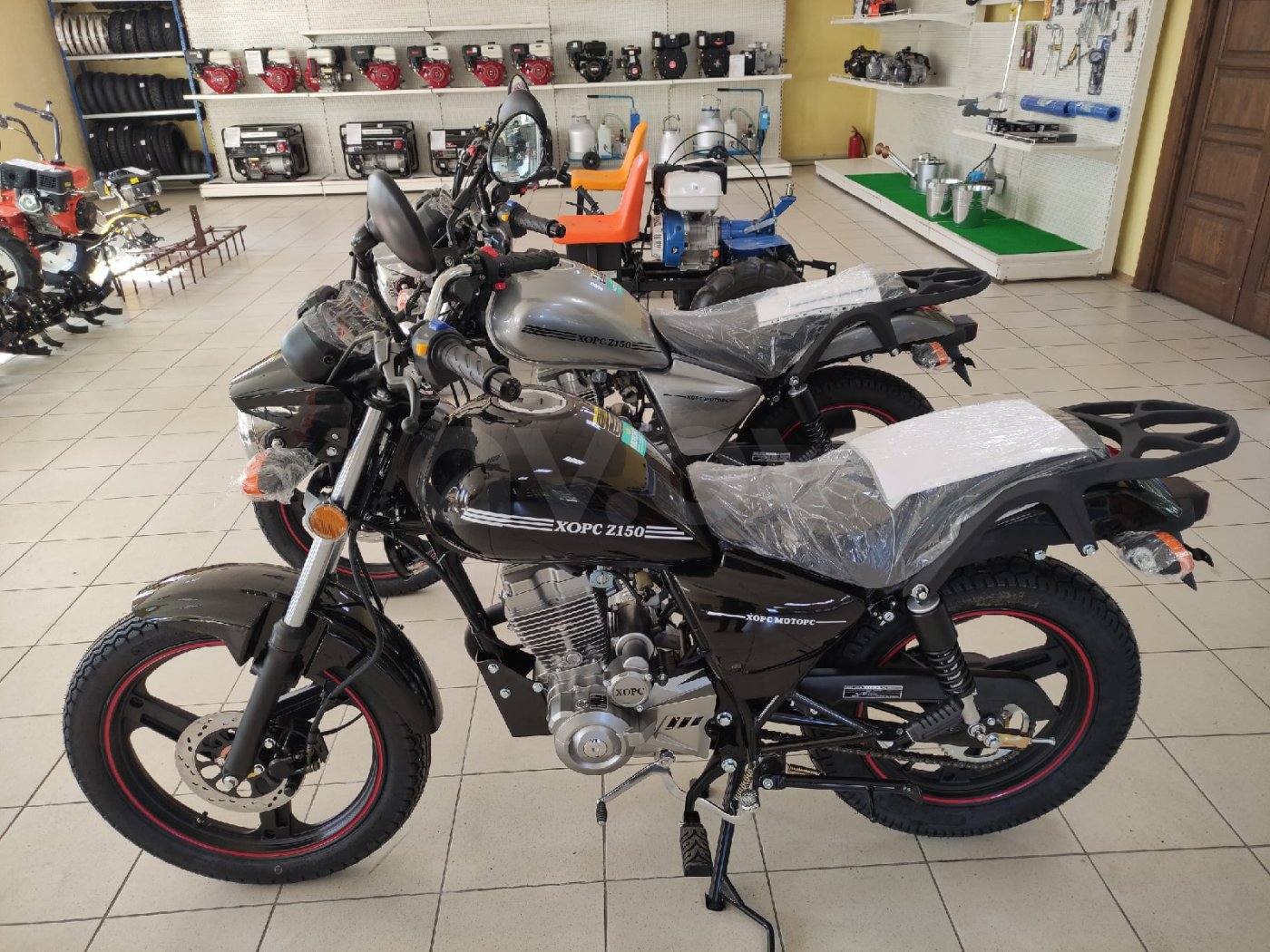 Hors Z 150, 2021 г.