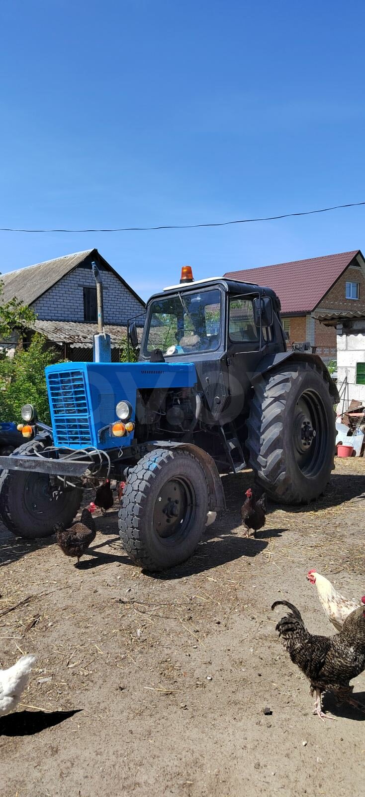 Купить мТЗ 80, 1984 в Дрогичине. Продать или купить мТЗ в Беларуси.  Объявления о продаже сельхозтехники в Беларуси.