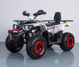 MMG Hummer Braves, 2021 г.