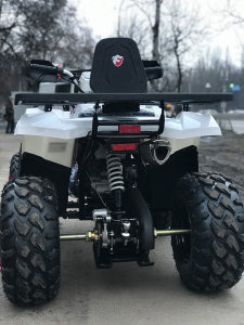Nitro 200 Braves, 2020 г.