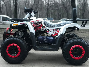 Nitro 200 Braves, 2020 г.