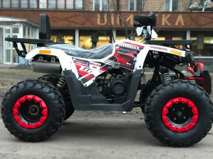 Nitro 200 Braves, 2020 г.