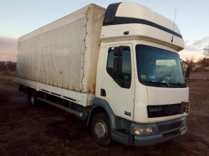 DAF LF 45 220, 2006 г.