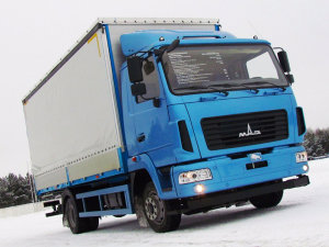 МАЗ 4381 N2-522-000, 2020 г.