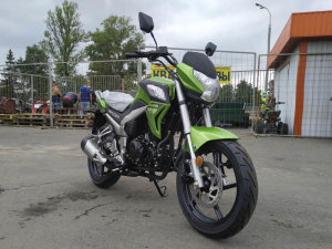 Racer Fighter 300cc, 2021 г.