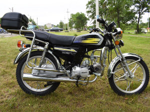 Regulmoto Alpha, 2020 г.