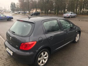 Peugeot 307 I · Рестайлинг, 2006 г.