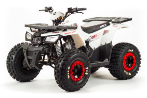 Motoland Wild ATV 125, 2022 г.