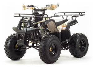 Motoland Wild ATV 150 Fox, 2022 г.