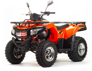 Motoland Wild ATV 200 Max, 2022 г.