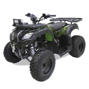 Nitro 200 Motax Grizlik 200 Lux с лебедкой, 2020 г.