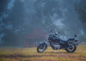 BAJAJ Avenger Cruise 220 DTS-i, 2021 г.