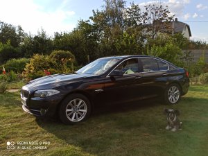 BMW 5 серия F10, F11, 2010 г.