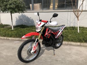 Ekonika Roliz Sport 004, 2022 г.
