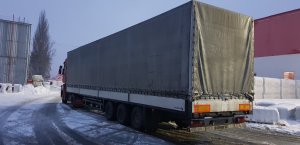 Renault Magnum DXI 460, 2008 г.