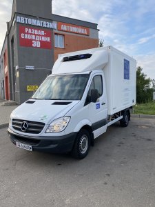 Mercedes Sprinter, 2009 г.