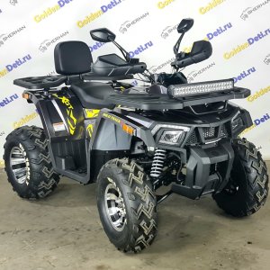 Motoland Wild TRACK X PRO, 2022 г.
