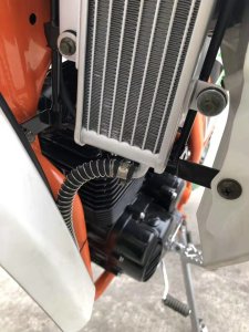 Ekonika Roliz Sport 007 172FMM, 2021 г.