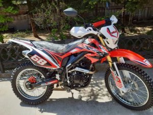 Ekonika Roliz Sport 004, 2020 г.