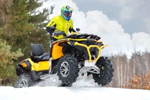 Stels ATV 650 Guepard Trophy, 2021 г.