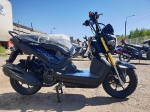 Vento Naked, 2022 г.