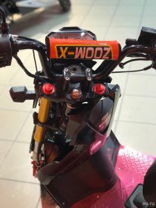 Vento Naked, 2022 г.