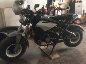 Эксклюзив Custom Полная, 2020 г.