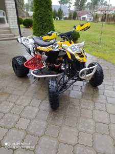 BRP DS, 2013 г.